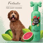 Pet Head Furtastic Shampoo 16oz