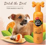 Pet Head Ditch The Dirt Shampoo 16.0 oz