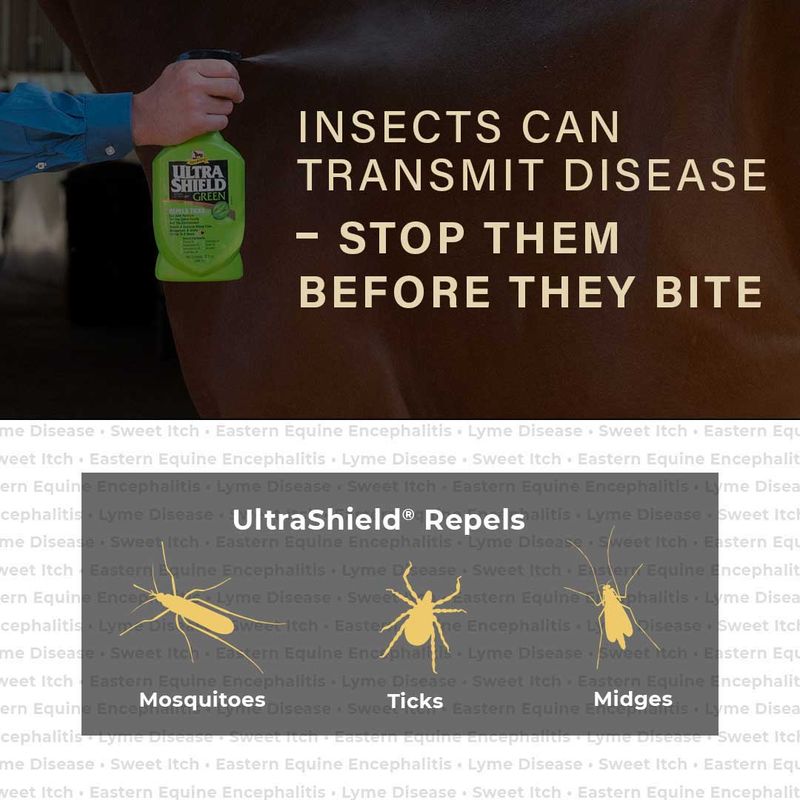 Anti-nuisibles sans fil à ultrasons Pest Shield