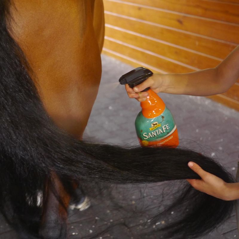 Santa Fe Coat Conditioner and Sunscreen Jeffers