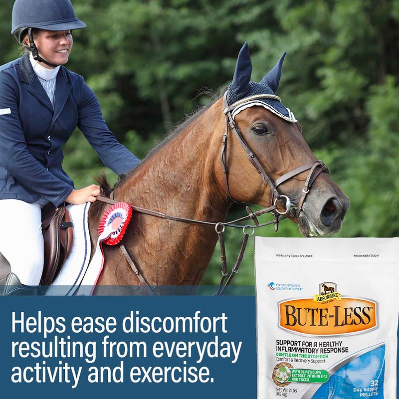 ButeLess Horse Pain Reliever Pellets Jeffers