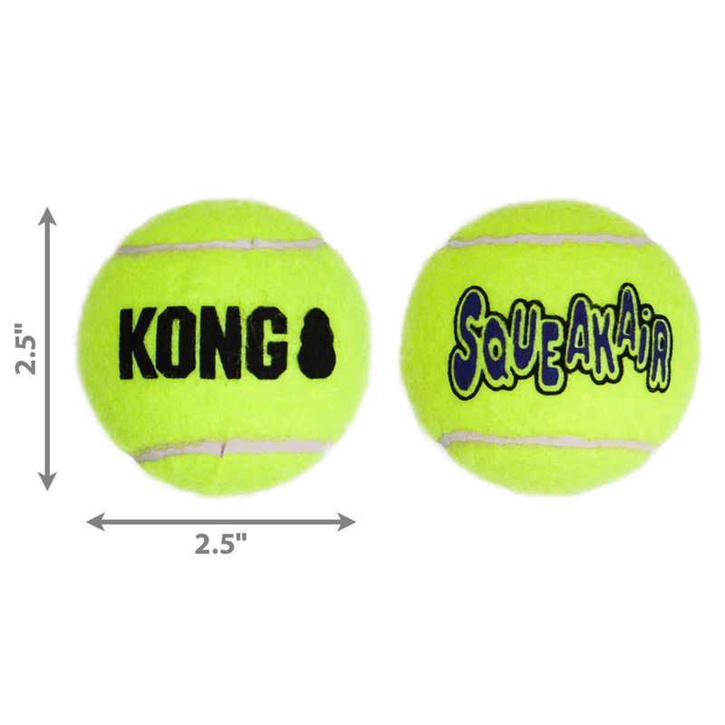 Kong squeaky deals ball