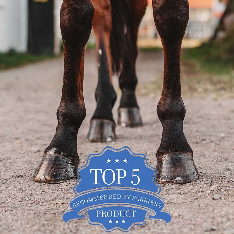 Magic Cushion Horse Hoof Xtreme Packing Jeffers