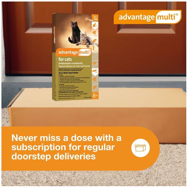 Advantage multi best sale 9 cats