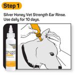 Silver-Honey-Rapid-Ear-Care-Vet-Strength-Ear-Treatment-Rinse---Concentrated-Doses