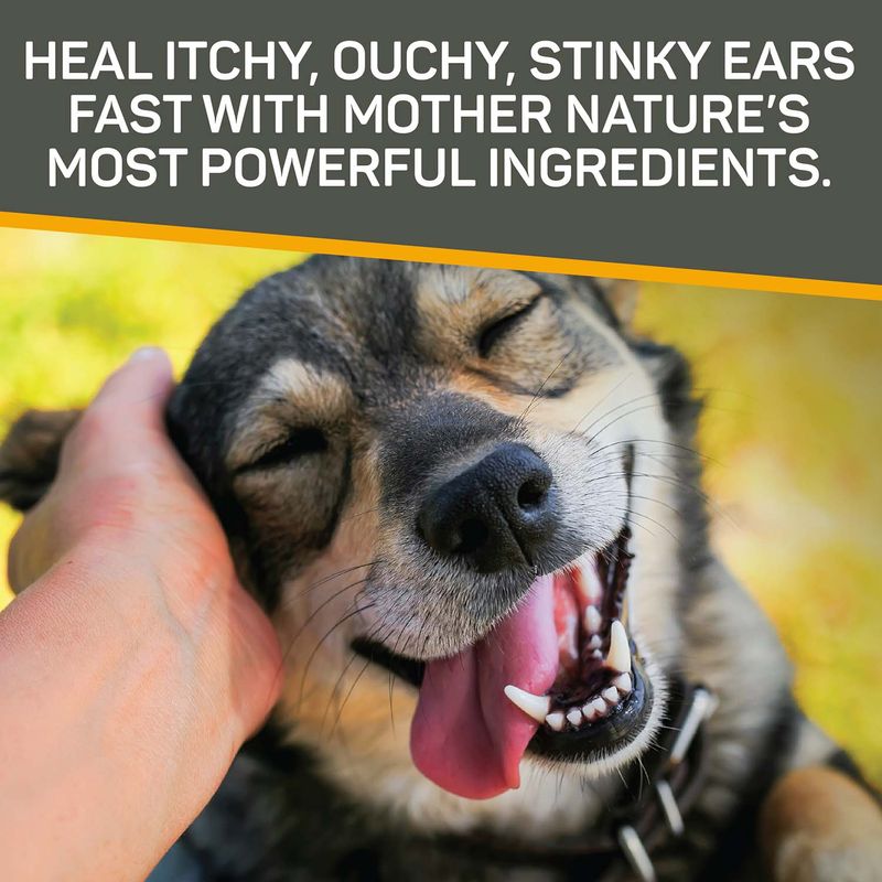 Silver-Honey-Rapid-Ear-Care-Vet-Strength-Ear-Treatment-Rinse---Concentrated-Doses