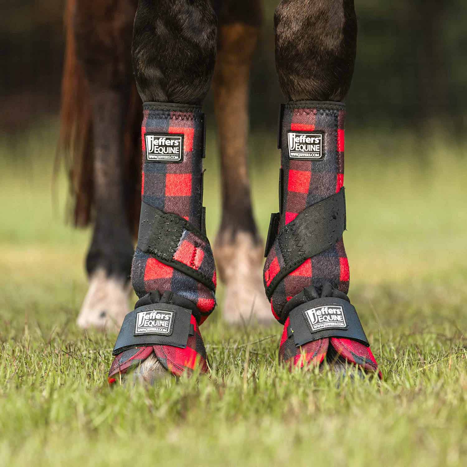 Jeffers Expression Protective Sports Medicine Boots for Horses Jeffers