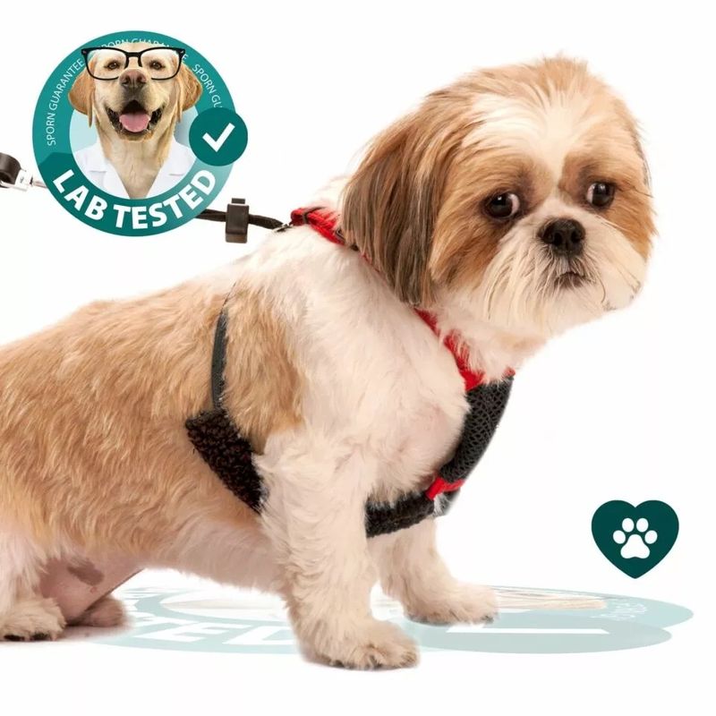 Dog for clearance dog mesh harness