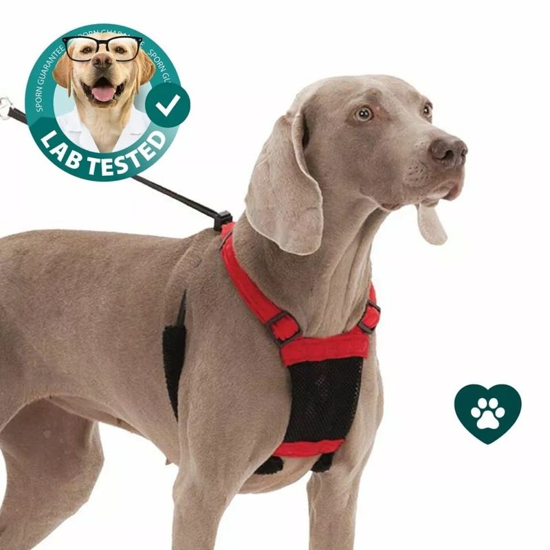 Large/extra-large pet harness