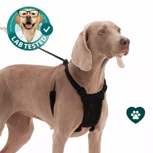 Sporn Non-Pulling Mesh Harness, Large/X-Large