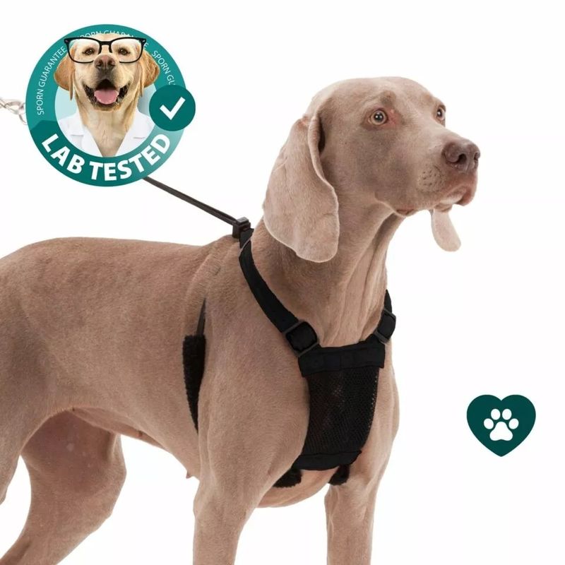 Sporn Nylon Mesh Non-Pulling Dog Harness, Black, S (8 to 14 Chest Size)