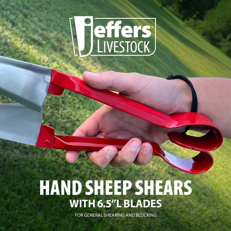 Jeffers Hand Sheep Shears, 6.5 blades - Jeffers