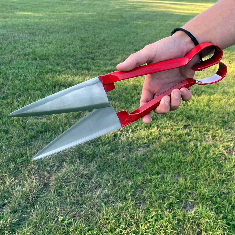 Women S Hands, Shearers Scissors 2,5-year-old Boy Stock Photo