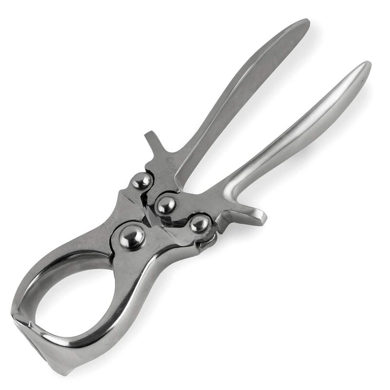 7/8" X 4" Nickel Plated Bull Snap