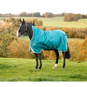 Amigo Bravo 12 Wug, 250 gram Horse Blanket, Storm Green