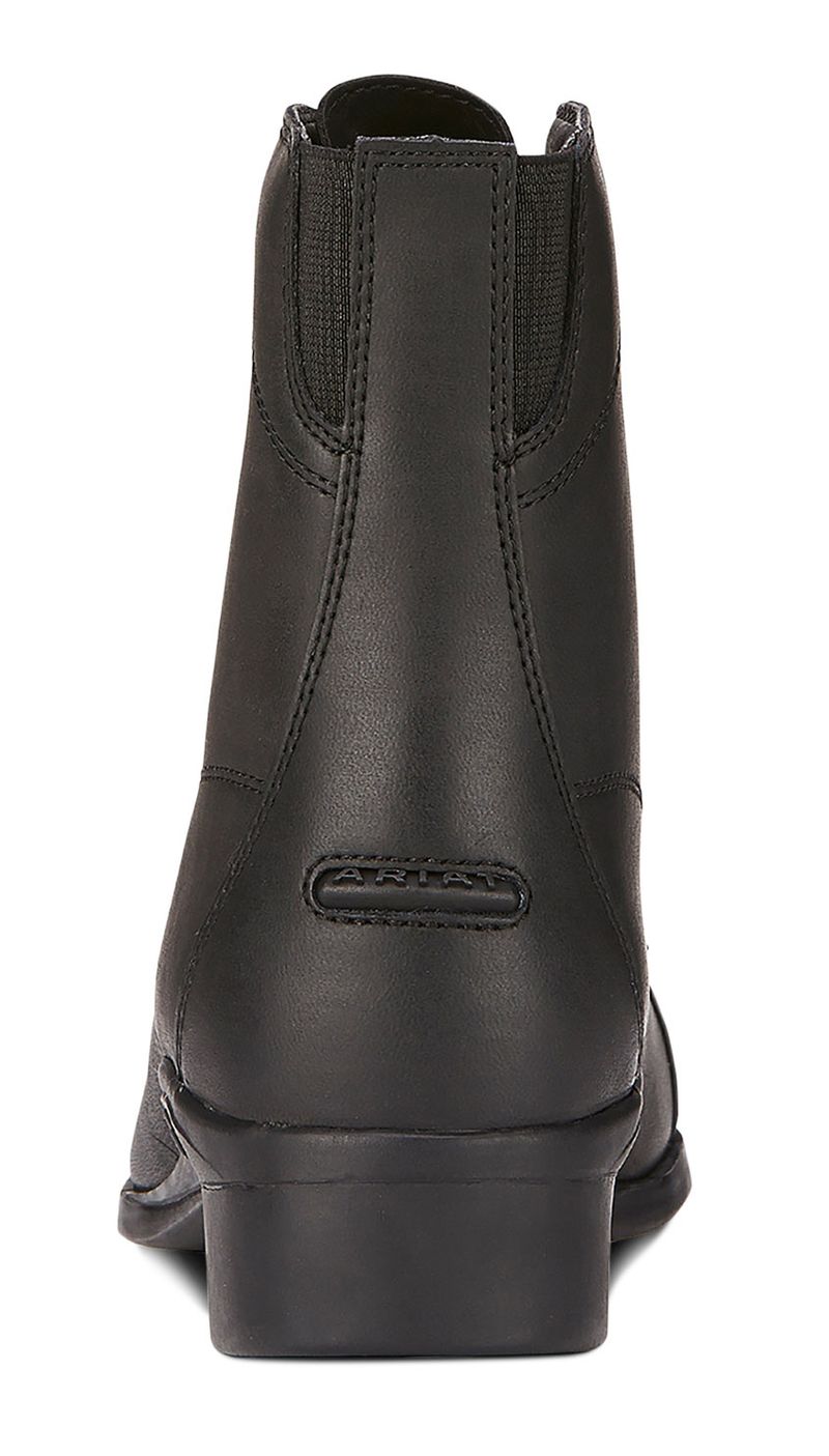 Ariat-Womens-Scout-Paddock-Boot-Black-6