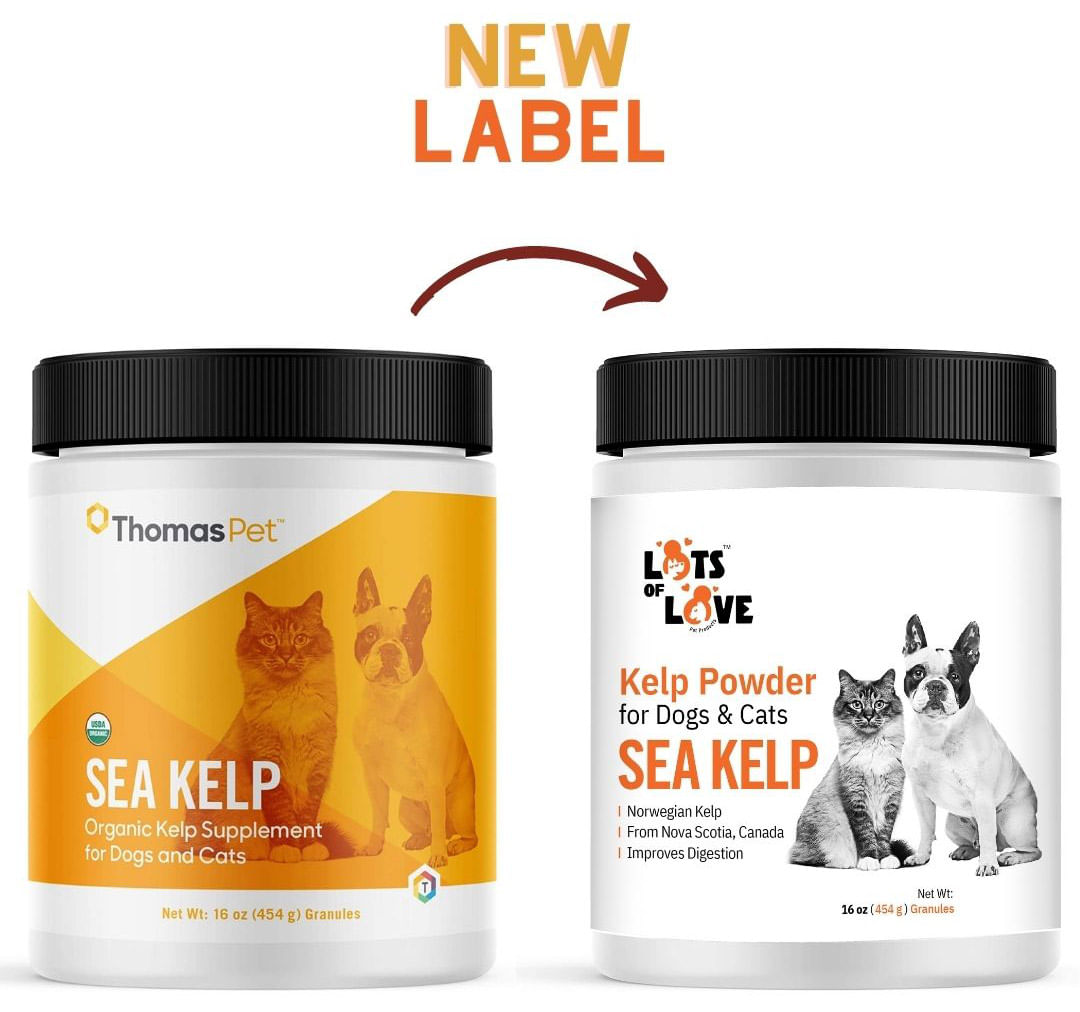 Norwegian kelp 2024 for dogs