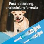 Lots-of-Love-Calcium-Now-15-ml