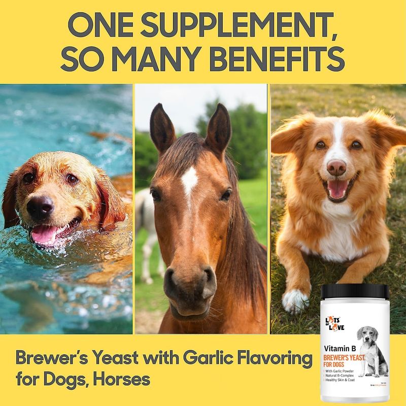 Brewers yeast outlet and garlic powder