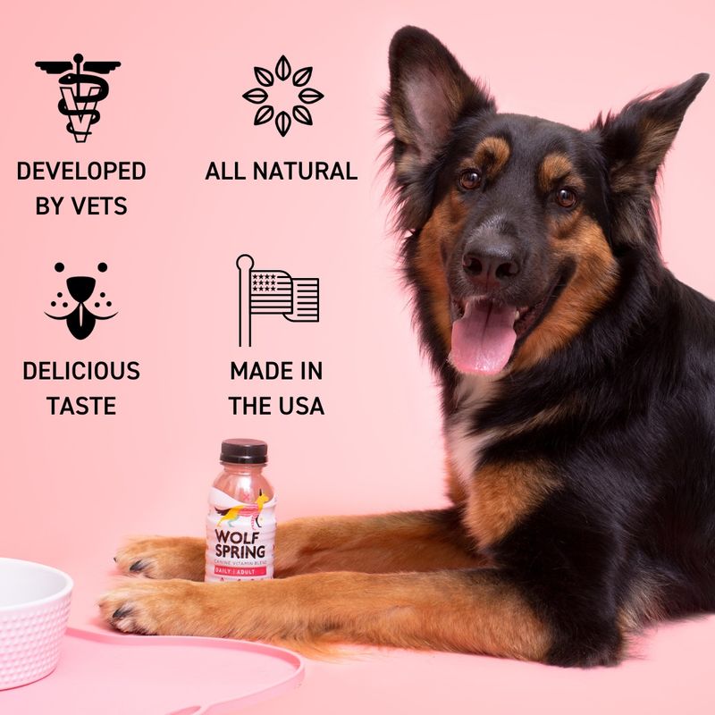 German shop shepherd multivitamin