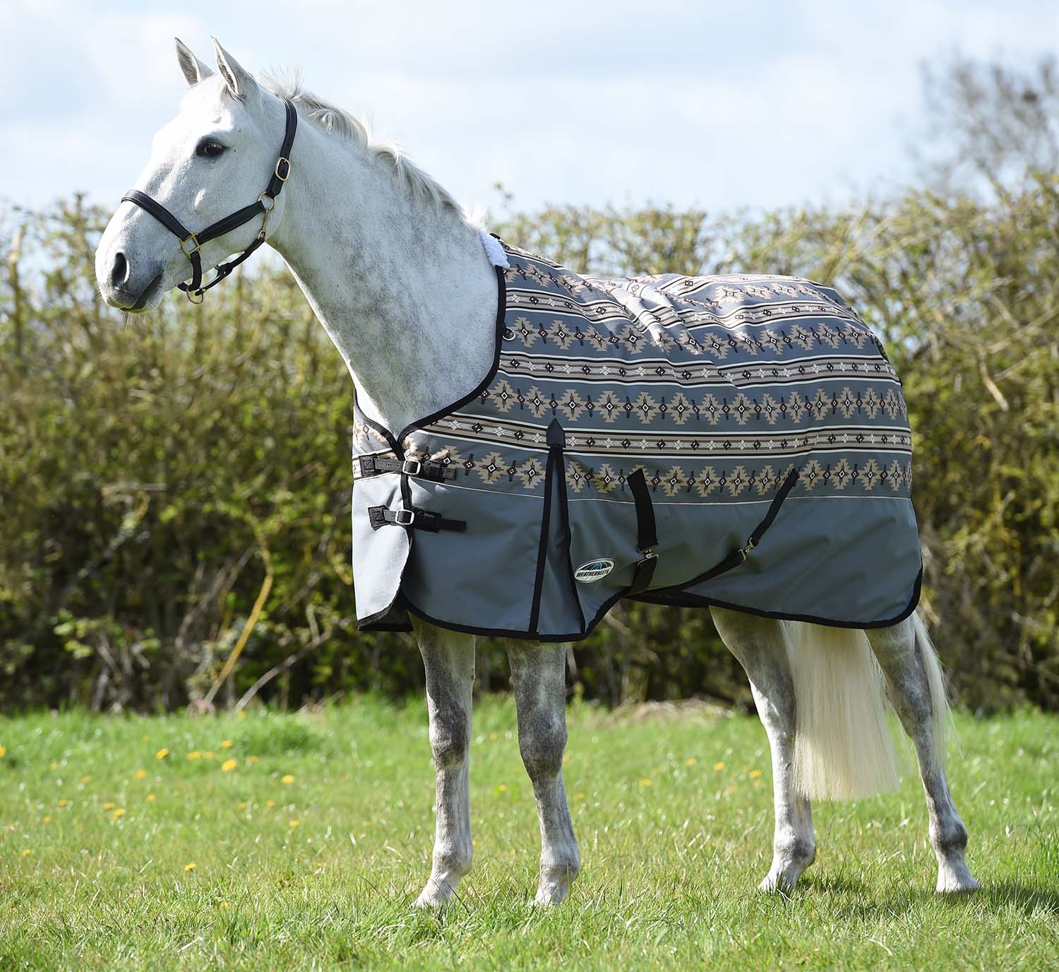 Horse Blanket Accessories and Parts by WeatherBeeta - Jeffers