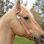 Circle-Y-Windsor-One-Ear-Headstall-Full