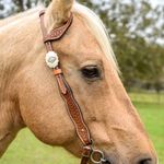 Circle-Y-Dawson-One-Ear-Headstall-Full