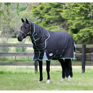 WeatherBeeta ComFITec Ultra Cozy III Detach-a-Neck Heavy Horse Blanket