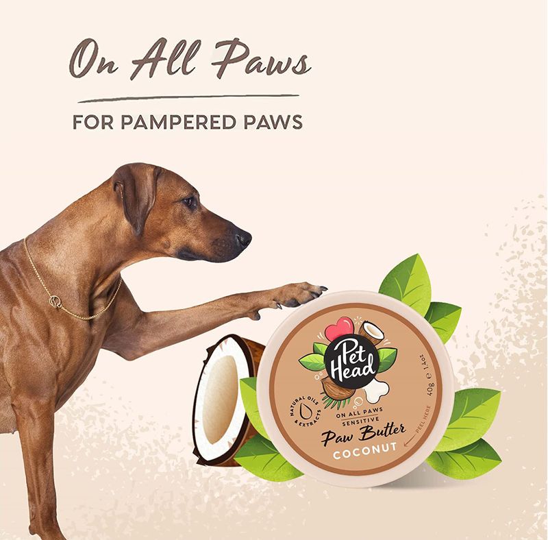 Pet Head Oatmeal Paw Butter Dog Paw Care, 1.4oz Jeffers