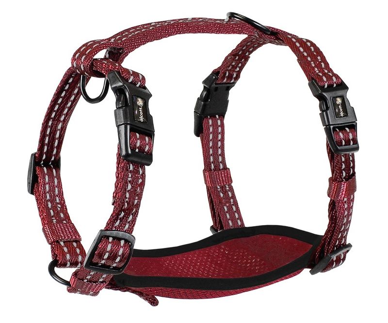 Alcott dog harness sale