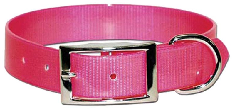 Sunglo-Collar-Pink-1-x-25-
