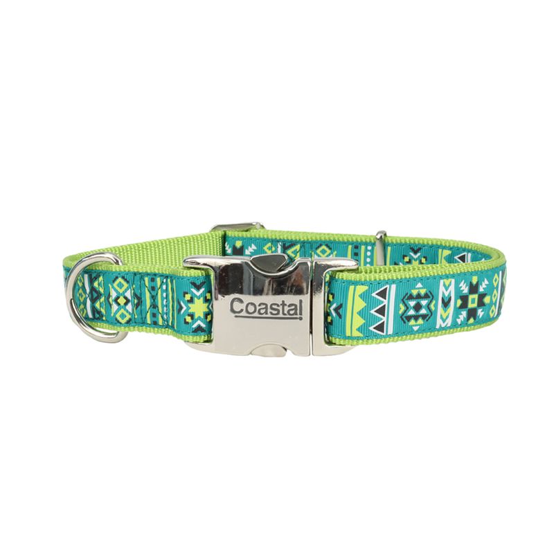 Coastal dog store collars metal buckle