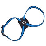 Size-Right-Mesh-Dog-Harness-Blue-Small---3-4--x-18--24-