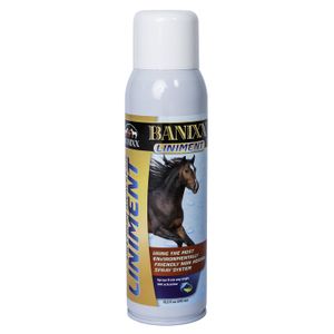 Banixx Premium Spray Liniment