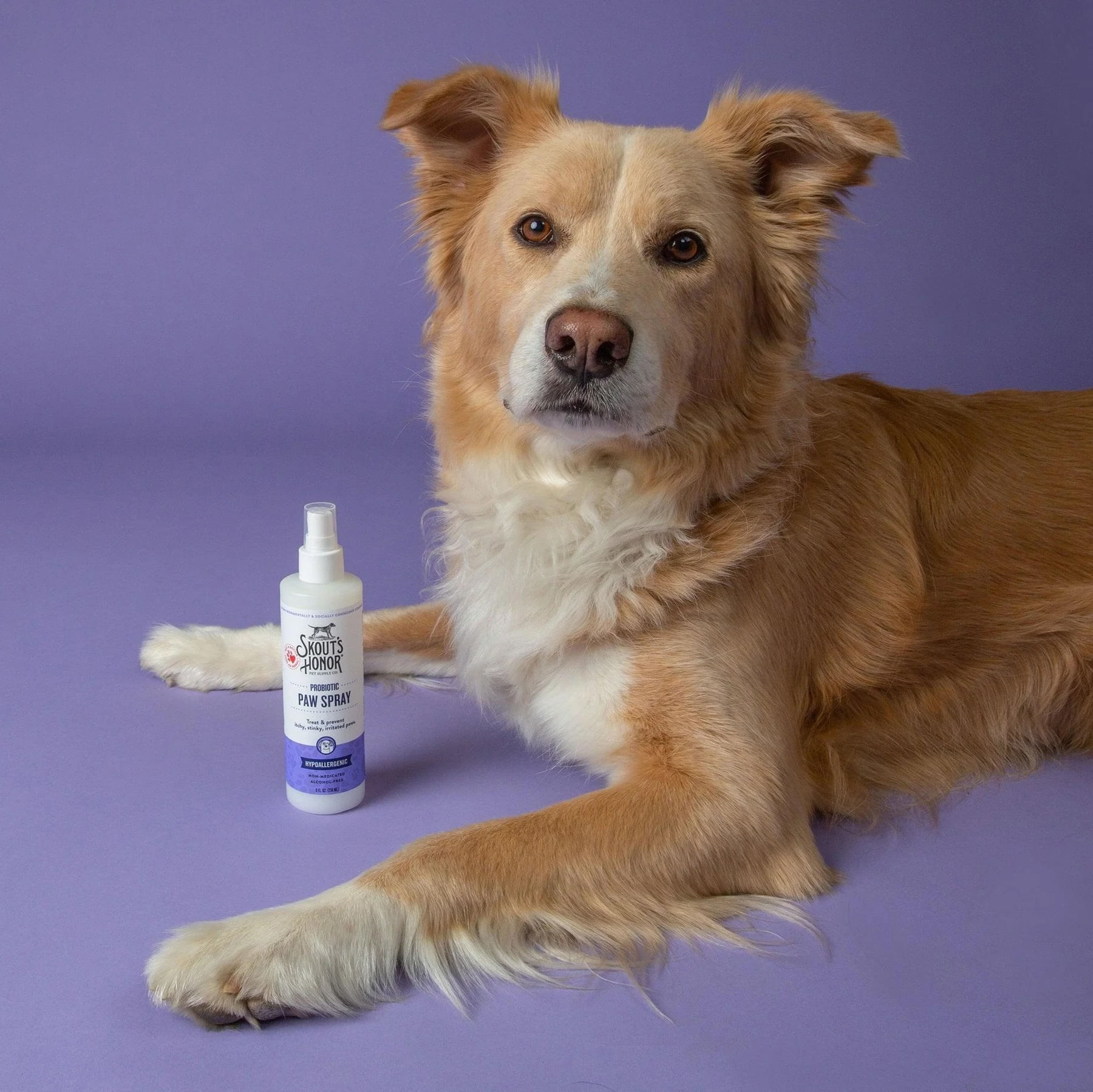 Skout's Honor Probiotic Paw Spray, 8 oz for dogs - Jeffers