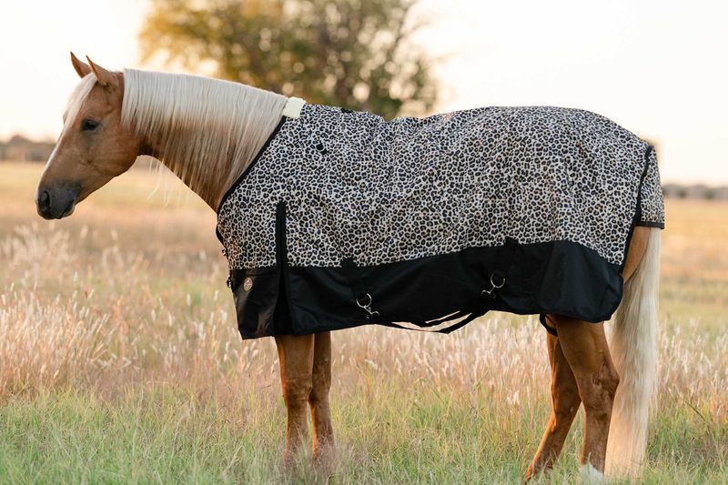 Equisential 600D Standard Neck Blanket, Medium, Cheetah
