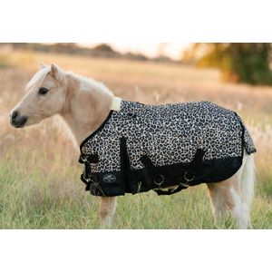 Equisential 600D Standard Neck Mini & Pony Medium Weight Blanket, Cheetah