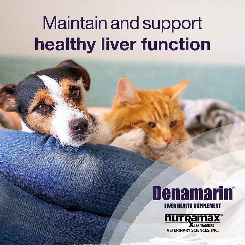 Denamarin Liver Health Tablets for dogs and cats - Jeffers