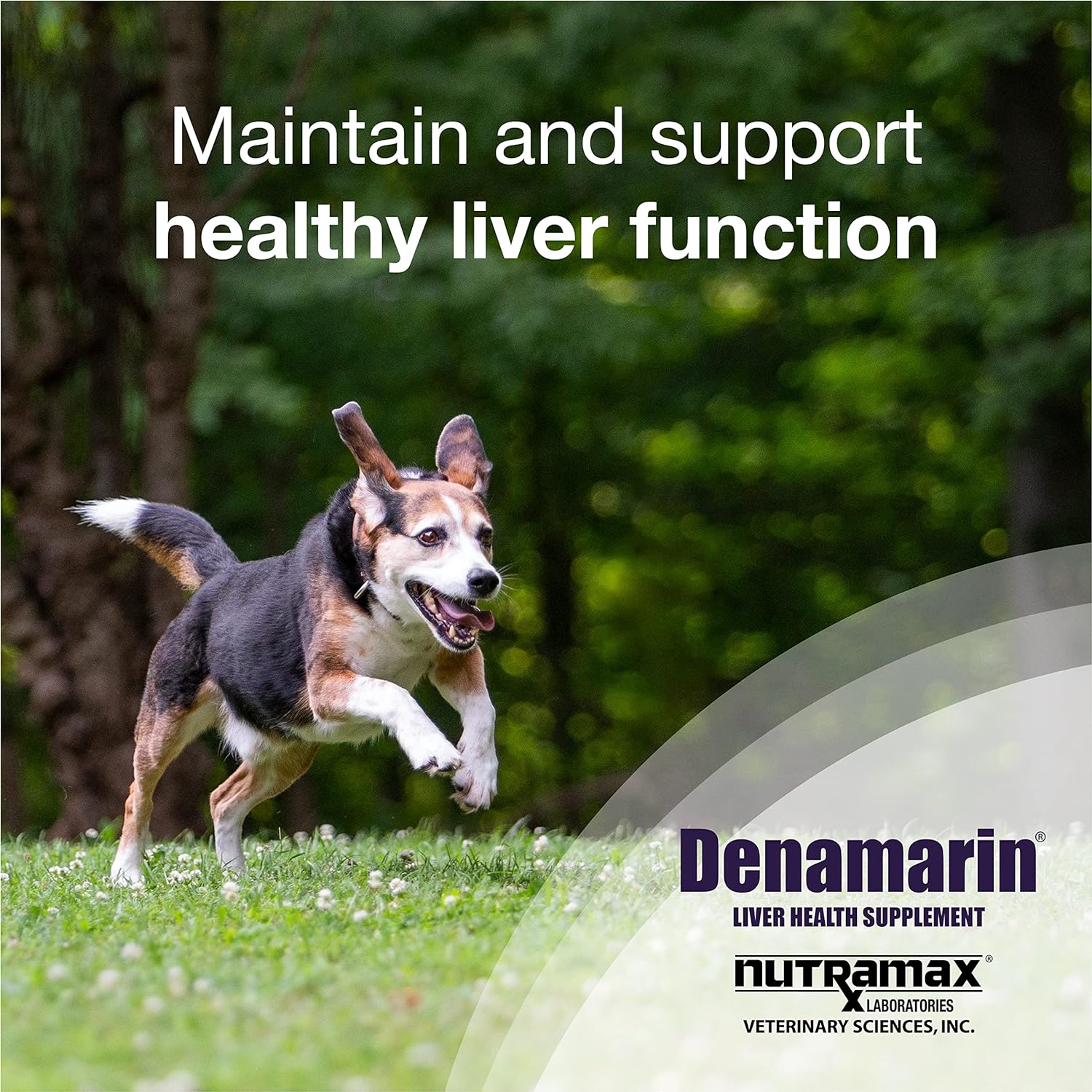 Denamarin liver clearance supplement