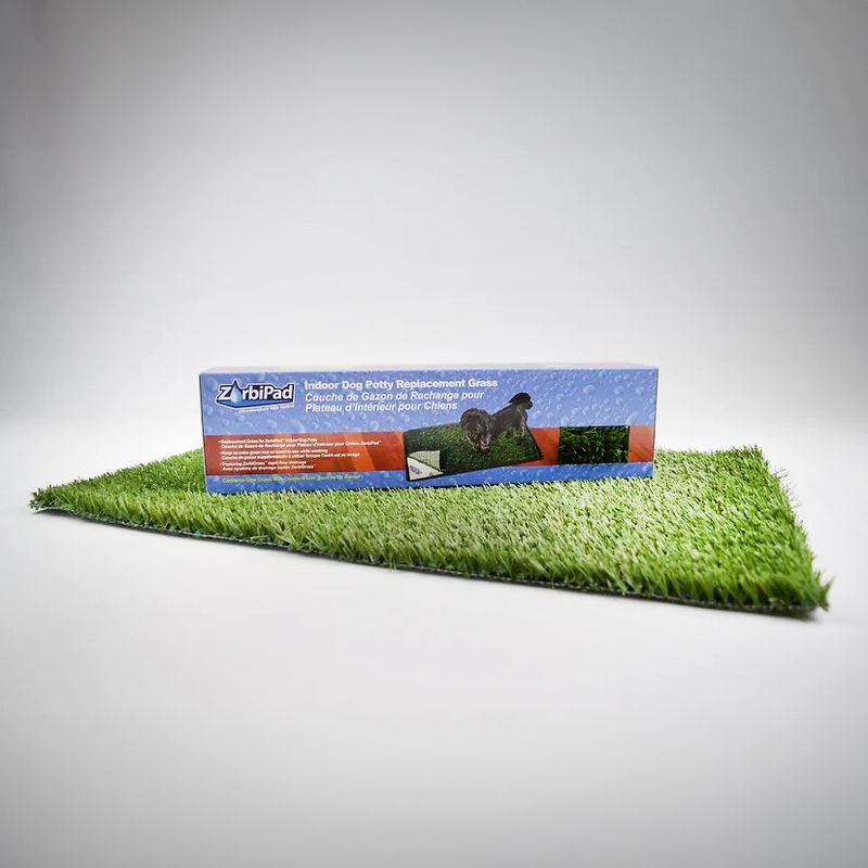 Spotty indoor dog 2024 potty replacement grass