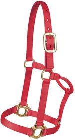 Yearling Traditional Nylon Halter