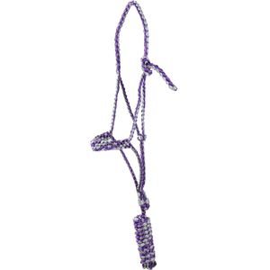 Classic Equine Flat Braid Halter with Lead Rope