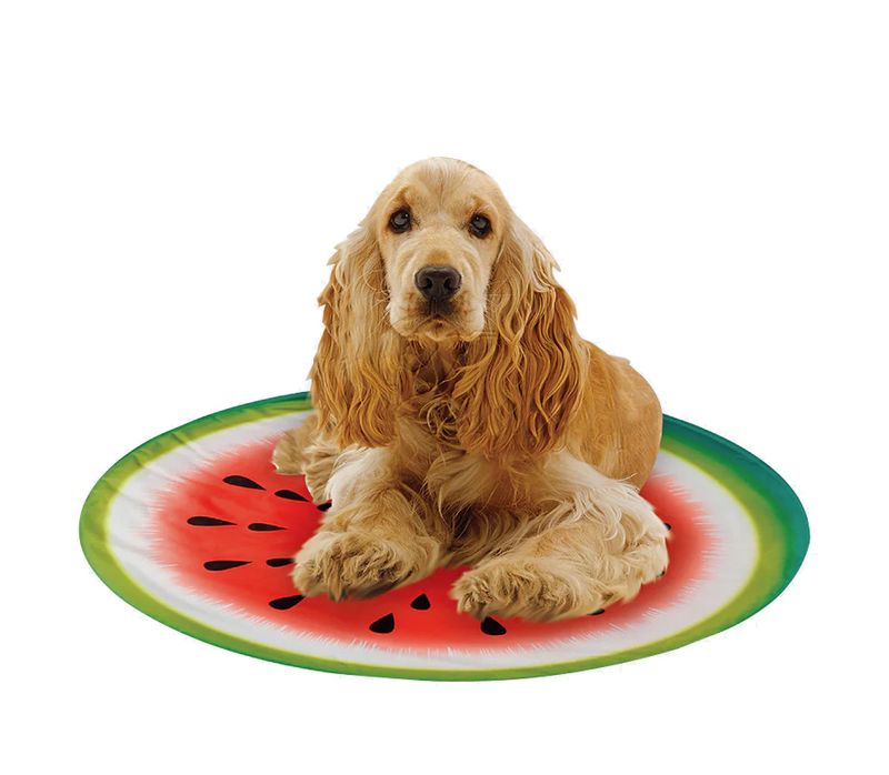 B&m pet best sale cooling mat