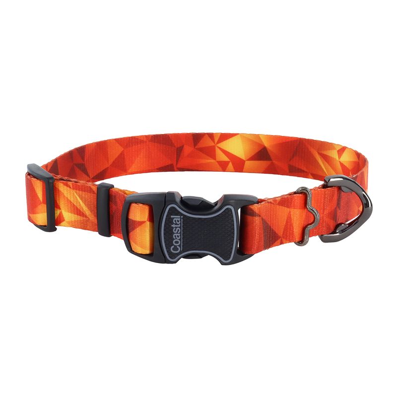 Inspire Adjustable Fashion Dog Collar, Blazing Shards