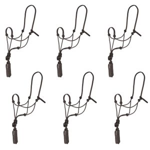 Rope Halter with Lead, 6 pk