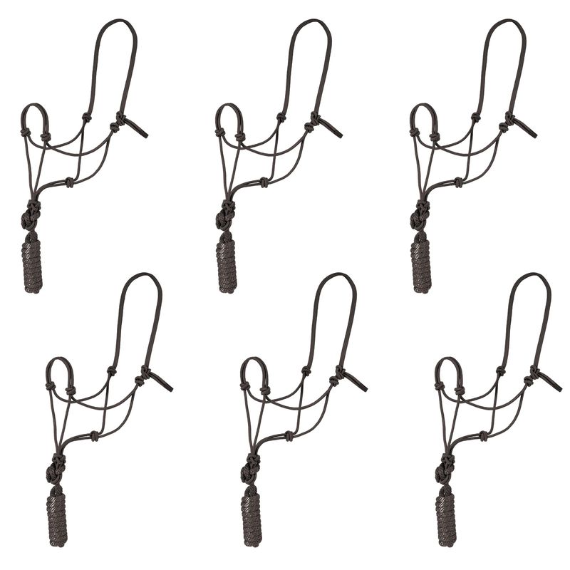 Rope-Halter-w-Lead-6-Pack