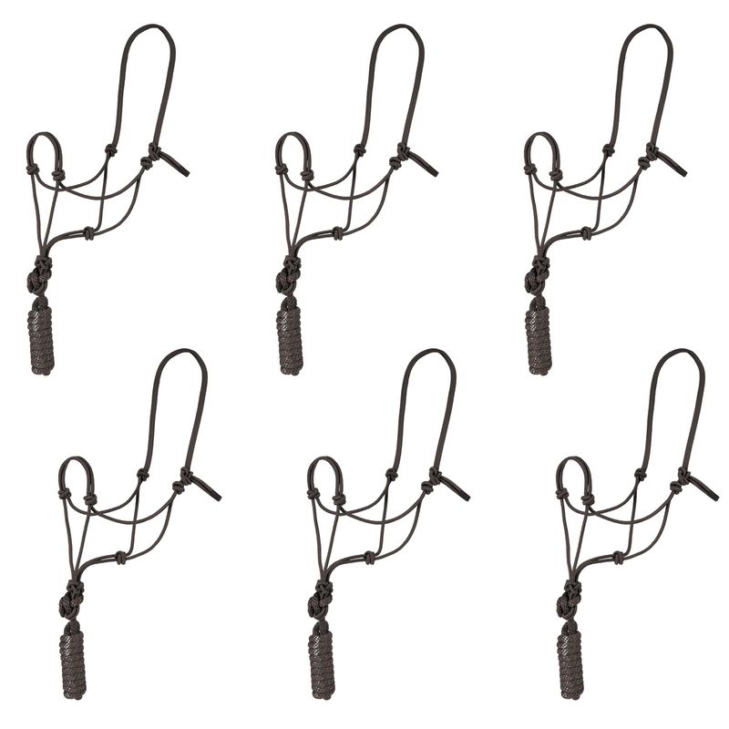 Rope Halter with Lead, 6 Pack for horses Jeffers