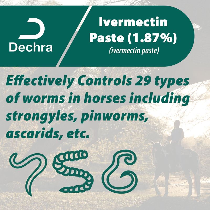 Dechra Ivermectin Paste 1.87% Anthelmintic and Boticide for Horses