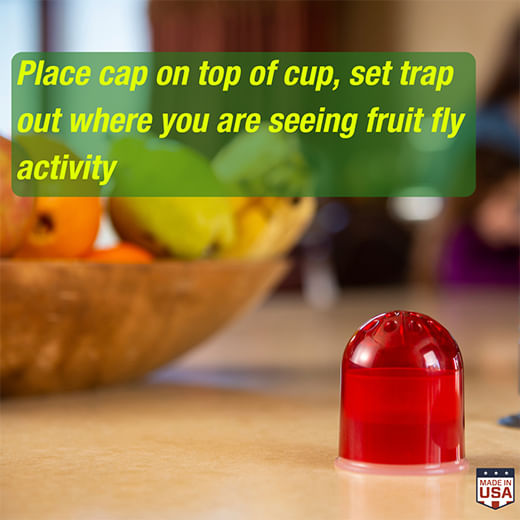 Fruit Fly Trap, 2 pk by Rescue! Jeffers