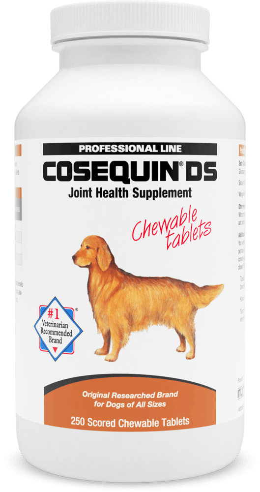 Cosequin for best sale senior dogs